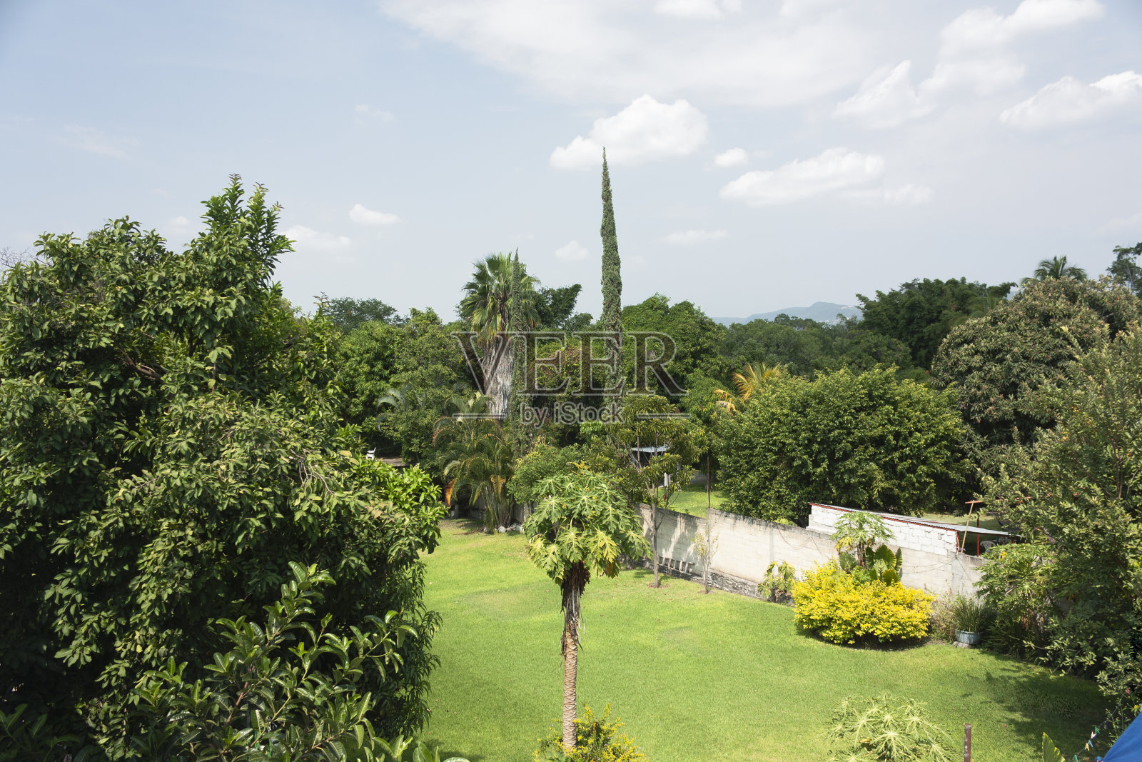 在墨西哥莫雷洛斯州，有草坪、树木、松树和棕榈树的山景花园照片摄影图片