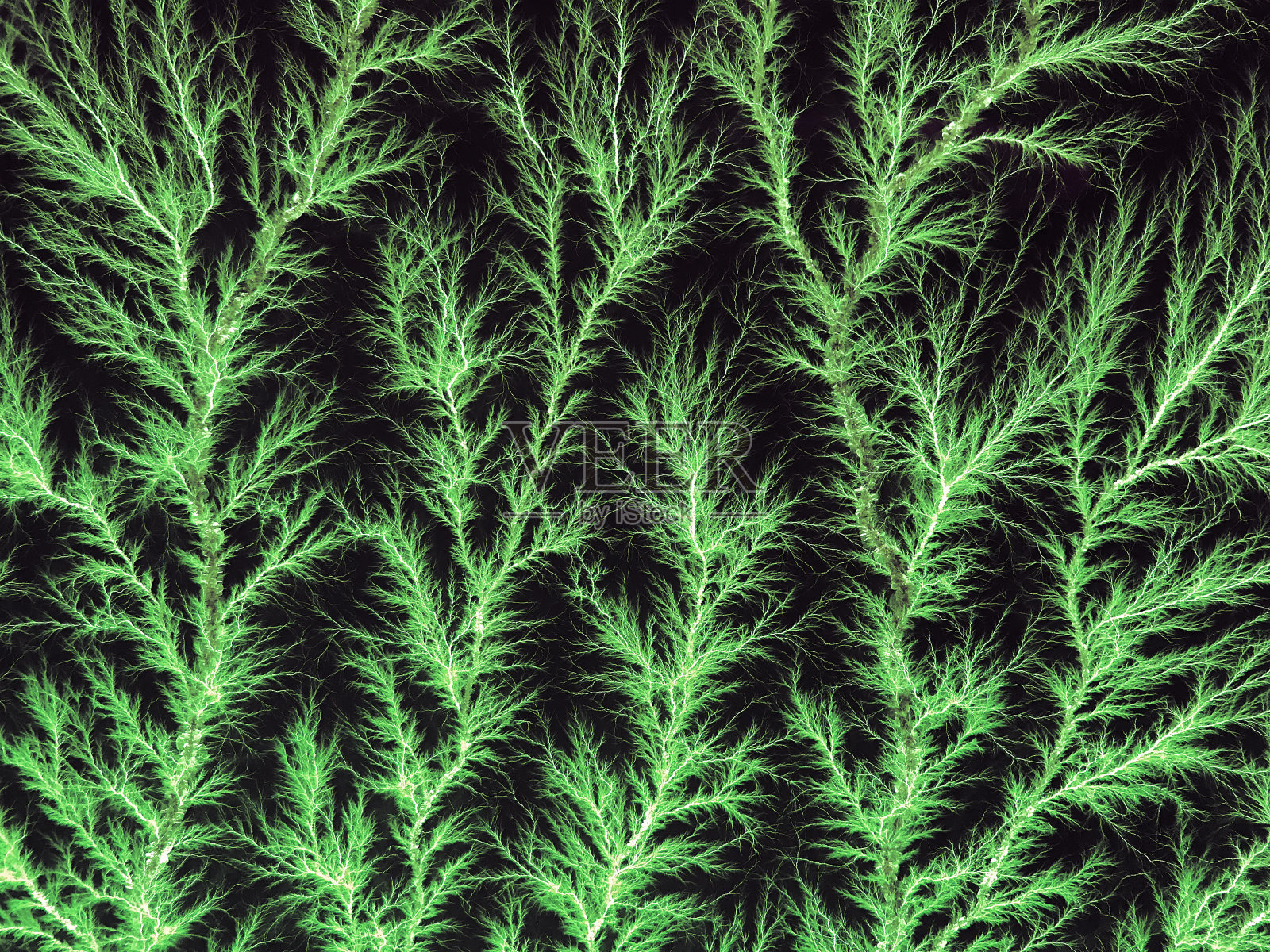 利希滕贝格图显示电丢弃模式照片摄影图片