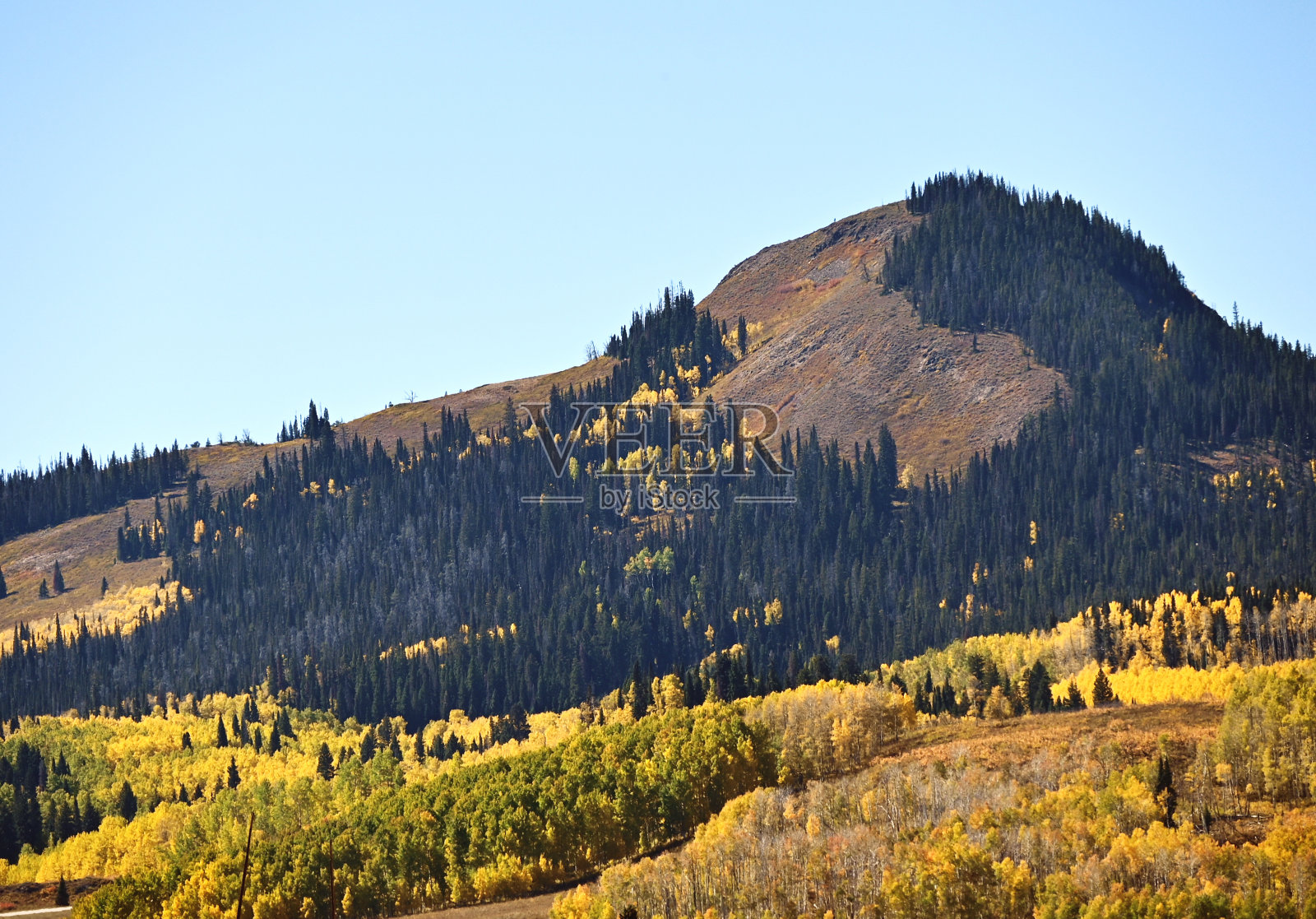 山与树照片摄影图片