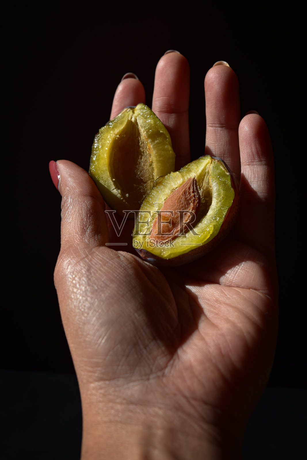 李子照片摄影图片