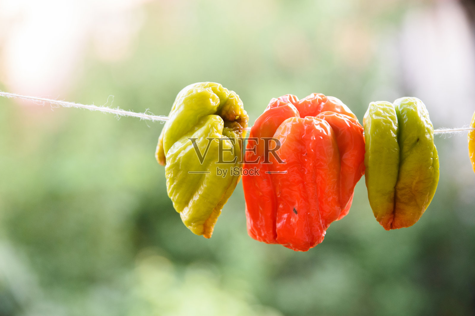 甜椒挂在绳子上晒干照片摄影图片