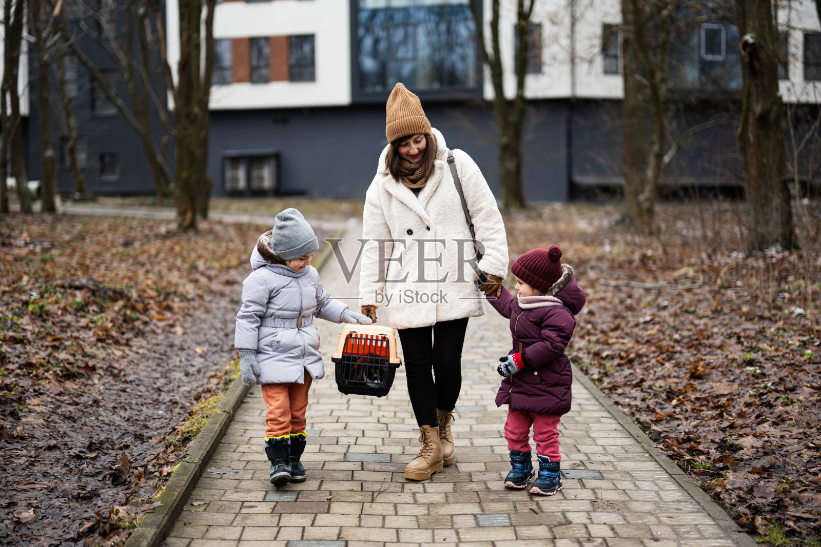 母女俩带着小猫在公园户外的旅行塑料笼车里散步。照片摄影图片