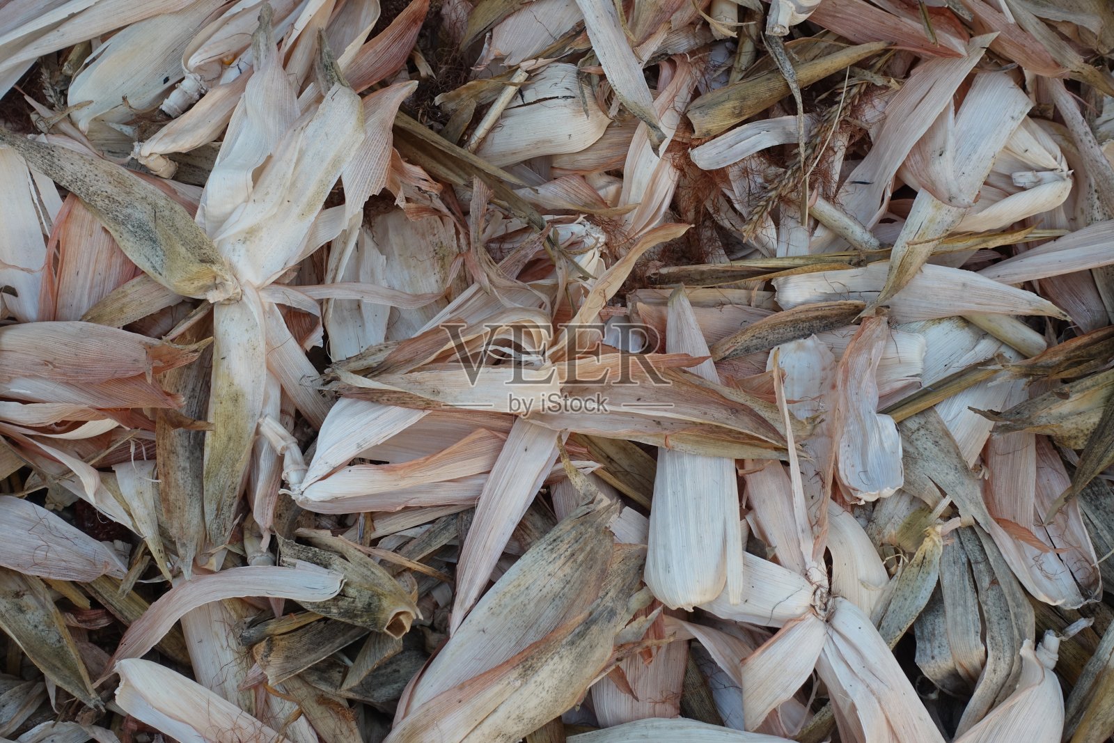 玉米皮照片摄影图片