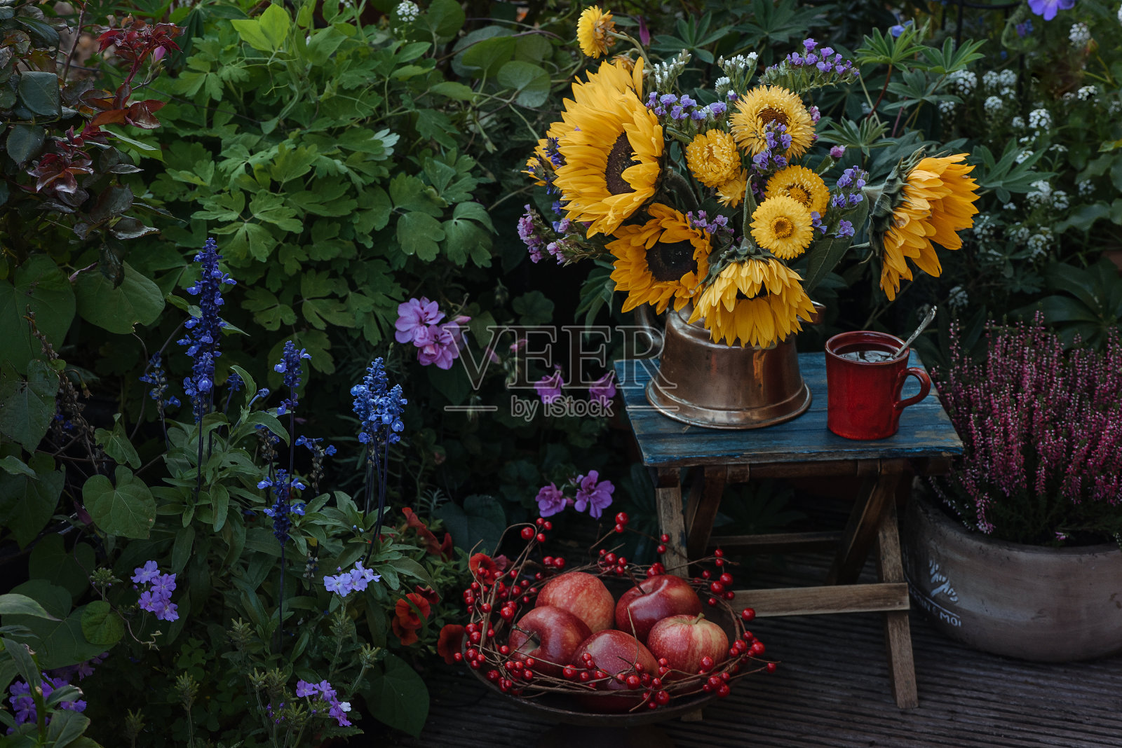 秋天的茶和花园里的向日葵照片摄影图片