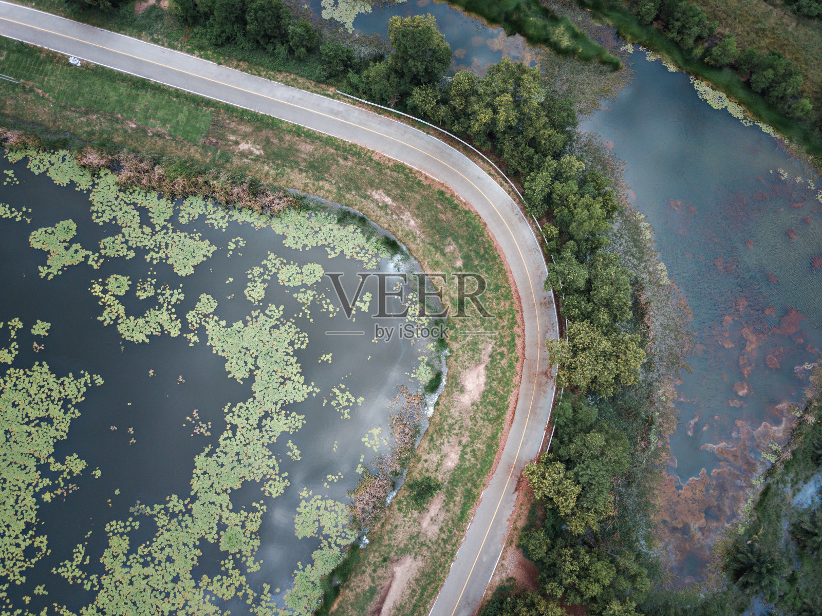 道路鸟瞰图。水稻农场路的俯视图。日落时街道的俯视图。照片摄影图片