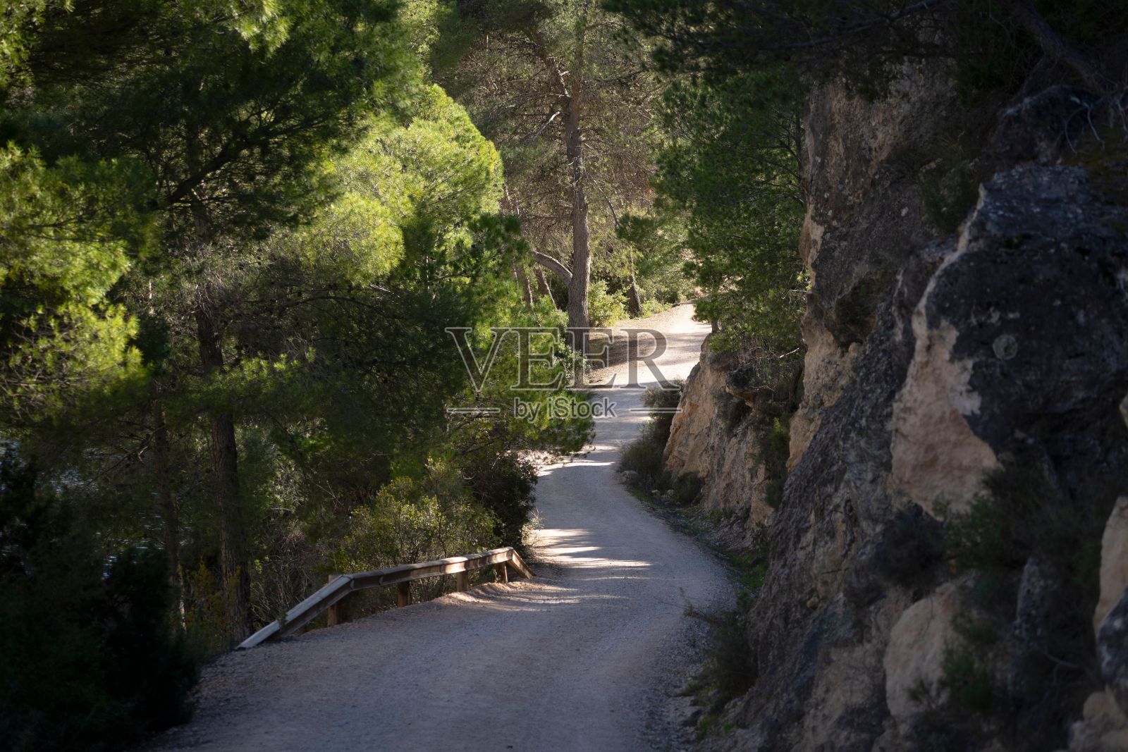 景观有一条土路，有几个发夹弯，两边有树。生活的本质。照片摄影图片