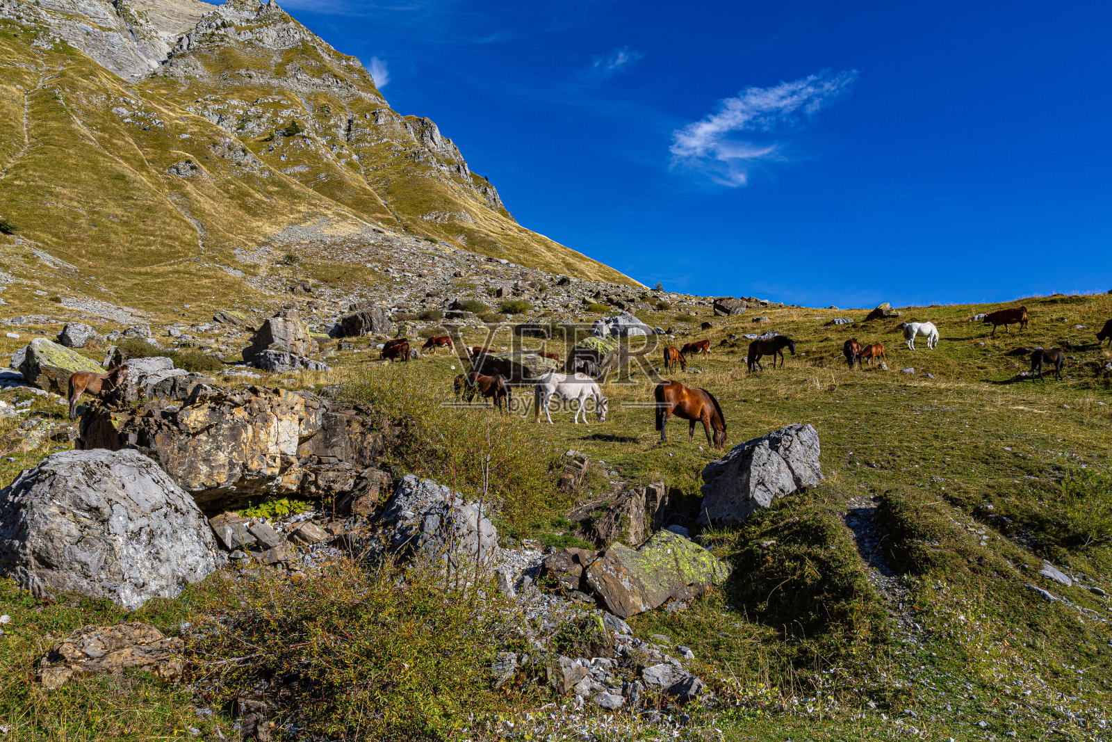 从口渴的路上看到的风景。照片摄影图片