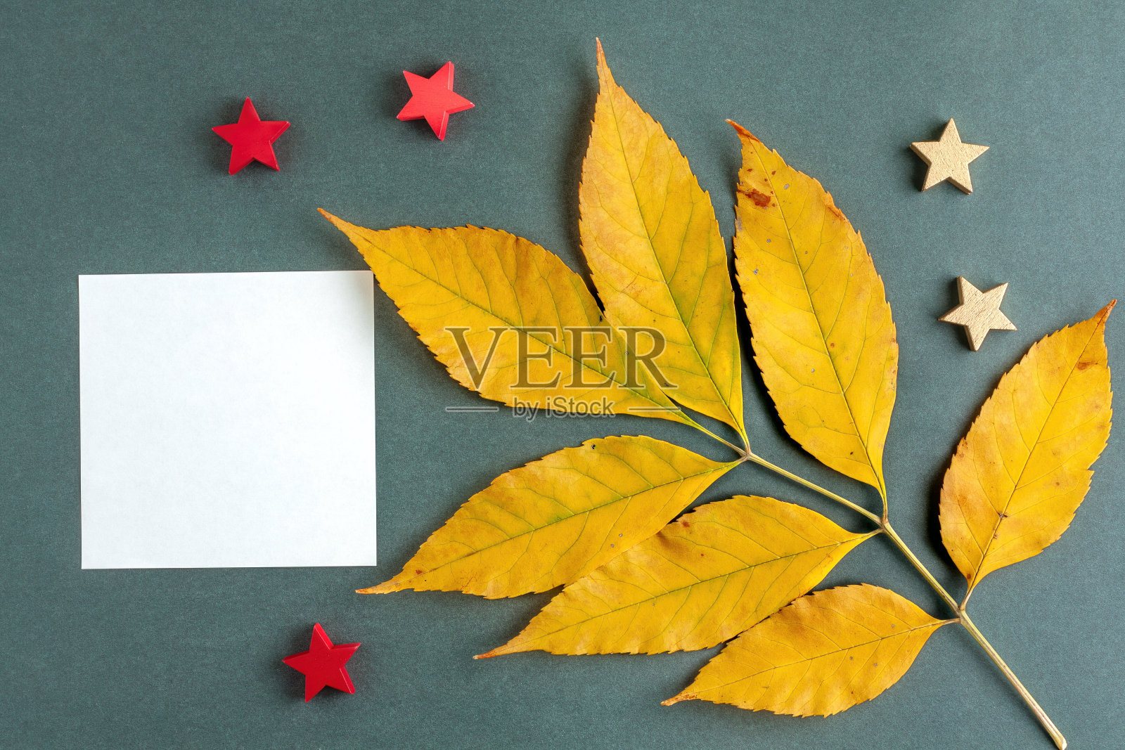 带有星星和便利贴的秋叶。照片摄影图片