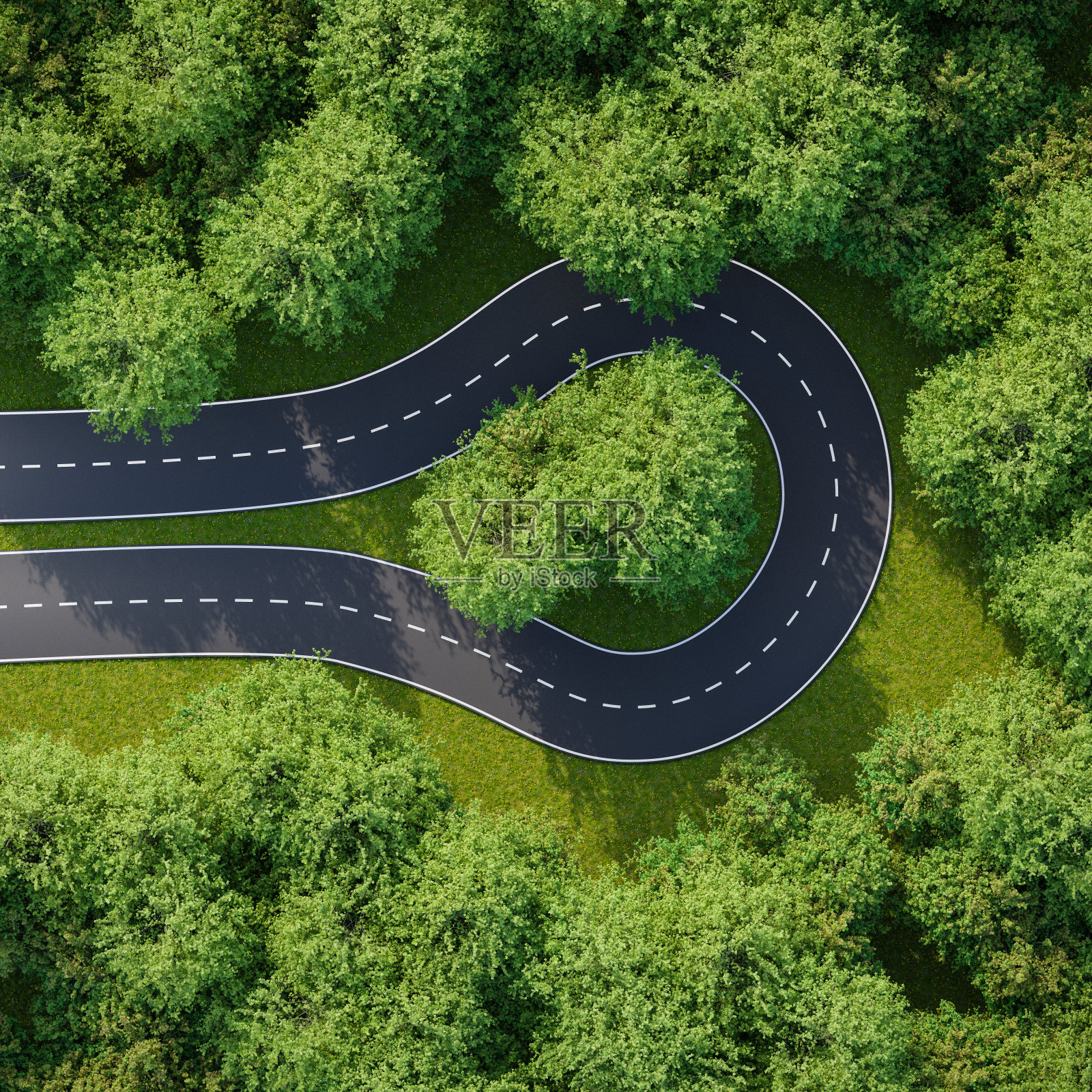 在榆树林中有一个转弯的道路航拍图像-返回的概念，改变你的想法，对抗，方向。三维渲染照片摄影图片