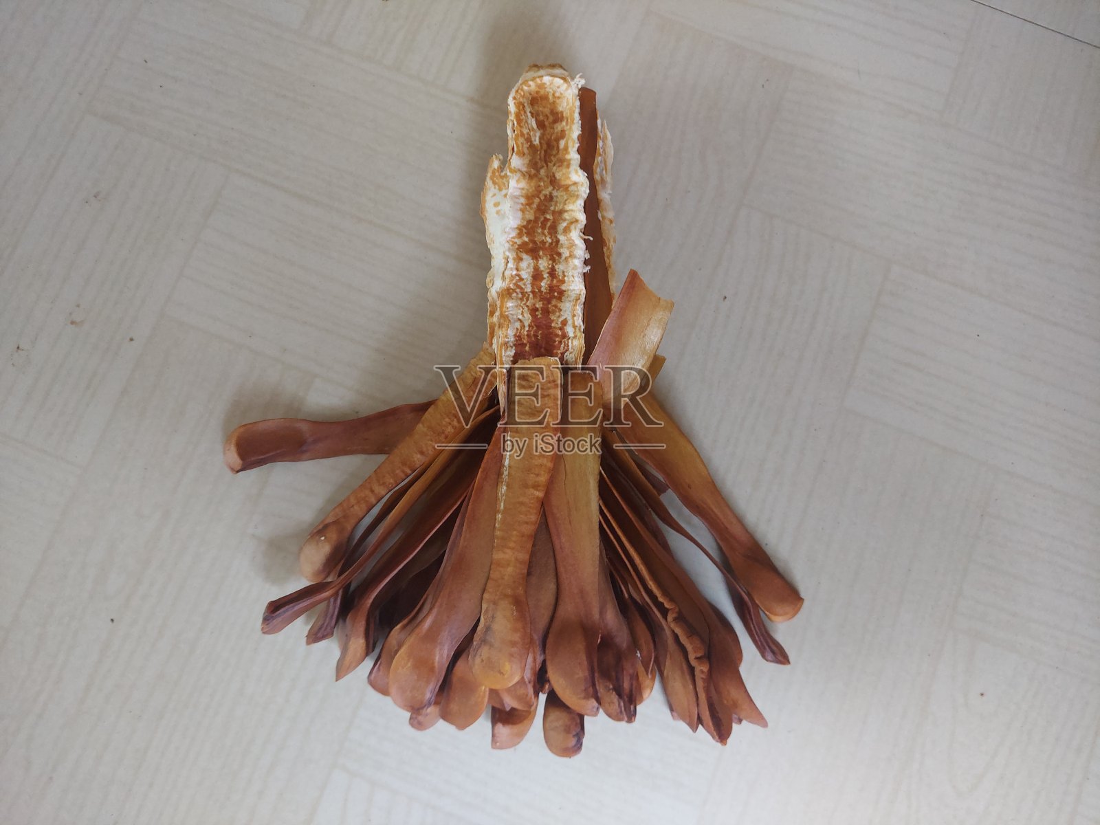 室内红木种子在木材上的高角度视图照片摄影图片