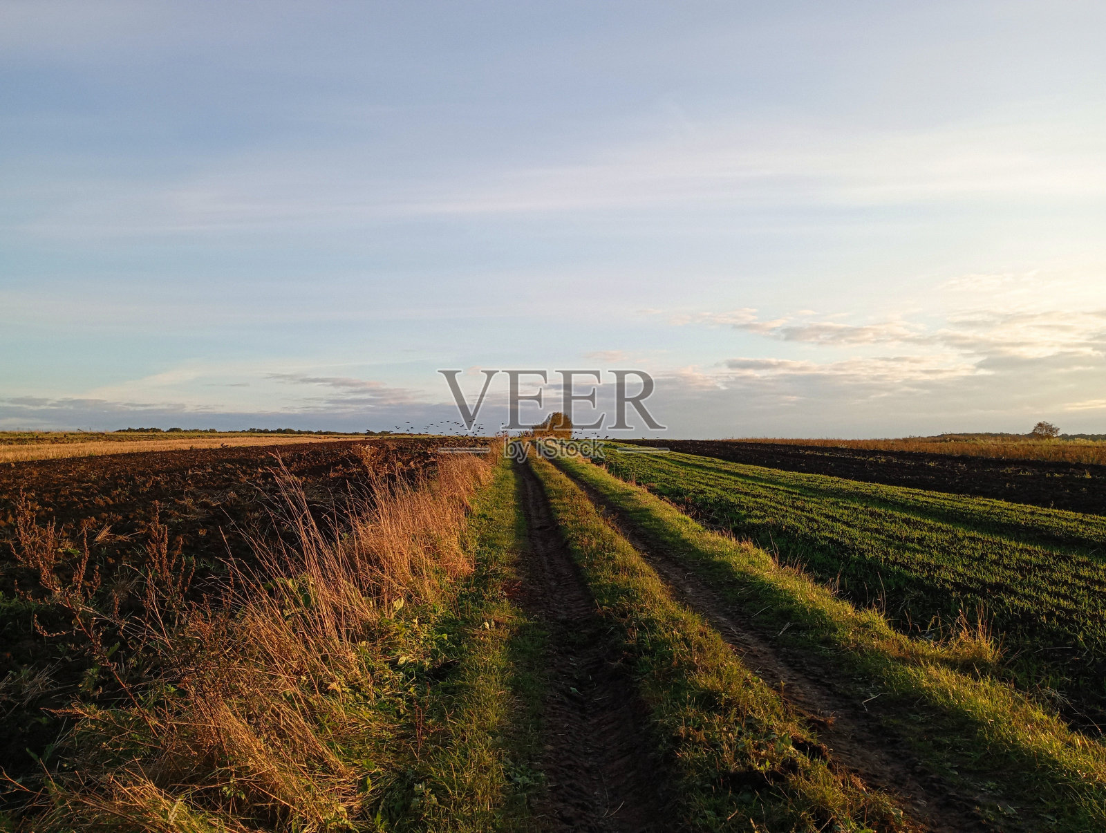 一条平坦笔直的乡间小路，远远延伸到地平线之外。欧洲平原和农业用地。照片摄影图片
