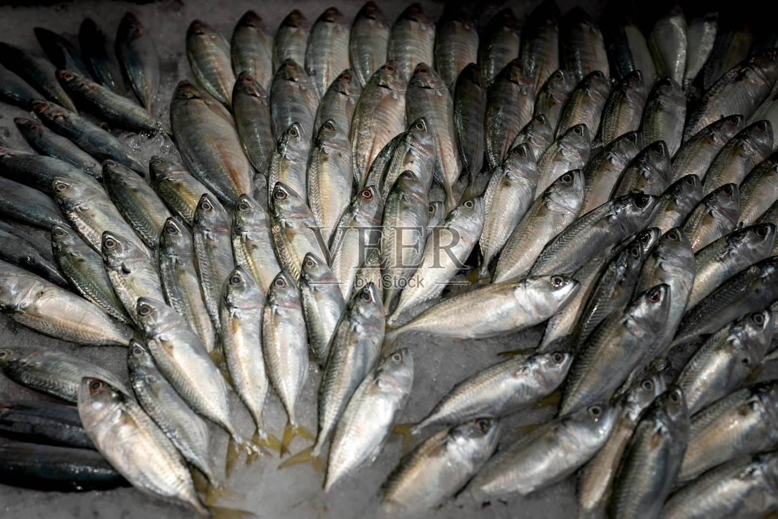 市场上新鲜的生鱼照片摄影图片
