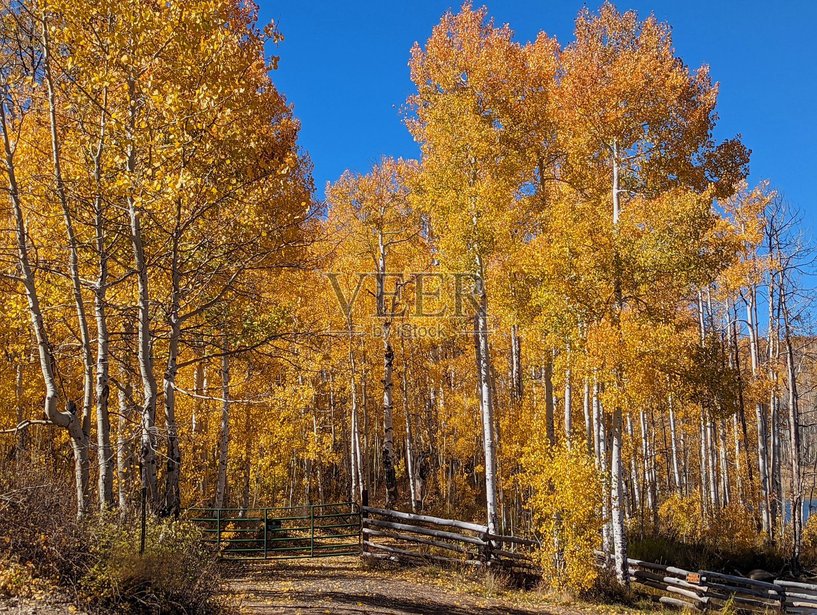 秋天的犹他州Kolob水库照片摄影图片