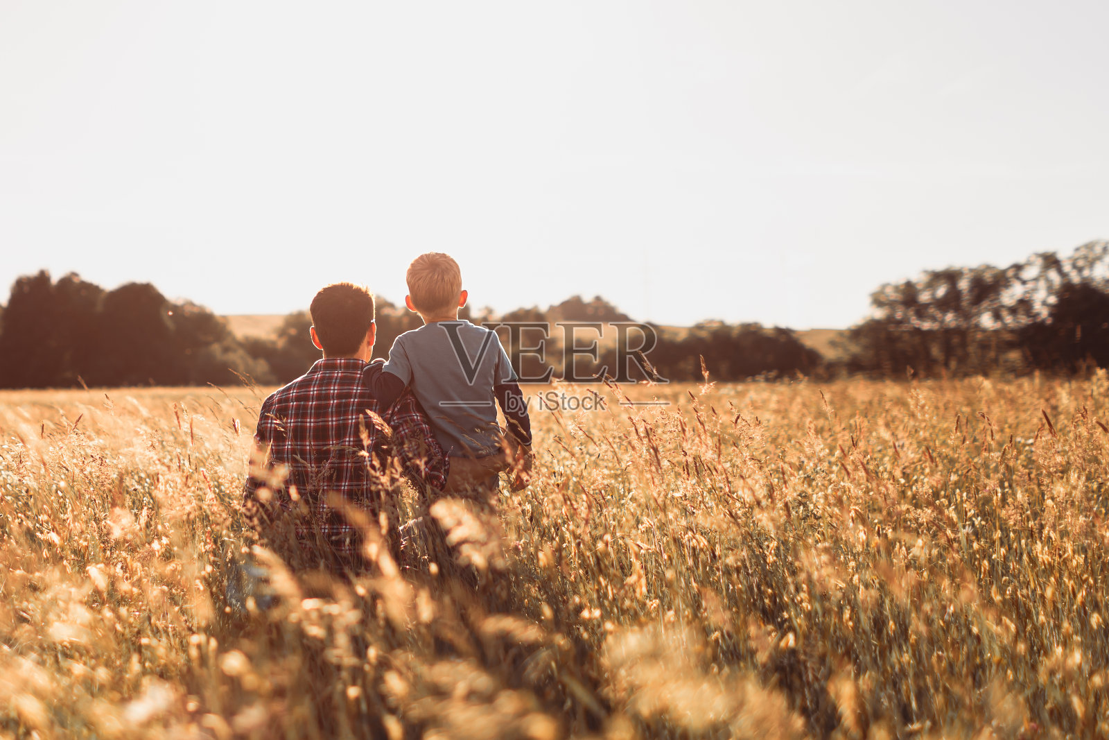 父亲和儿子在田里。照片摄影图片