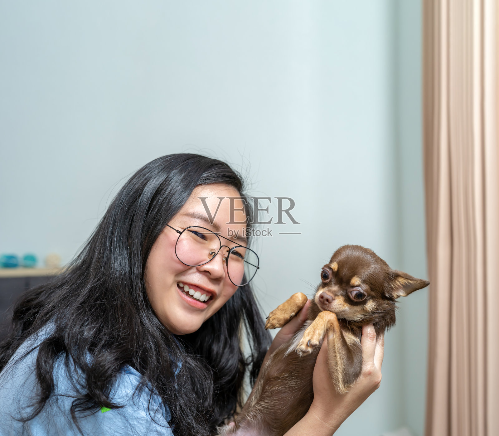 一个可爱的亚洲泰国女孩和她的棕色Chi Hua Hua狗玩耍。这是人类和宠物之间的美好时刻。照片摄影图片