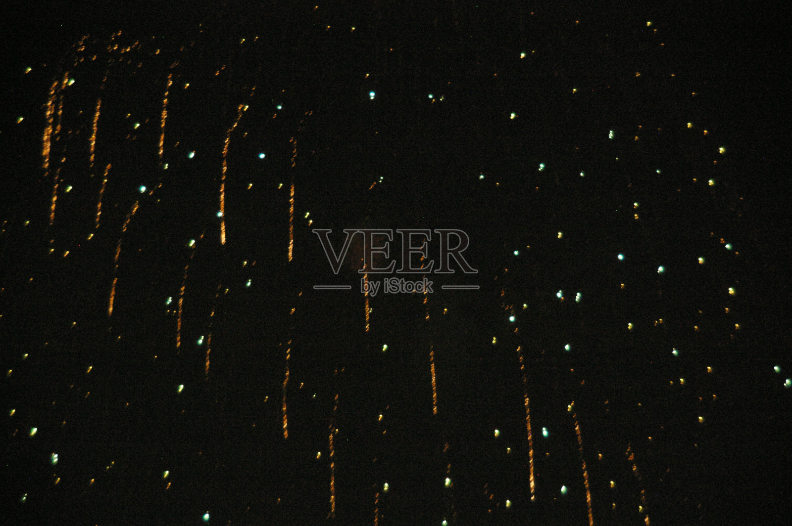 穿越花园2012照片摄影图片