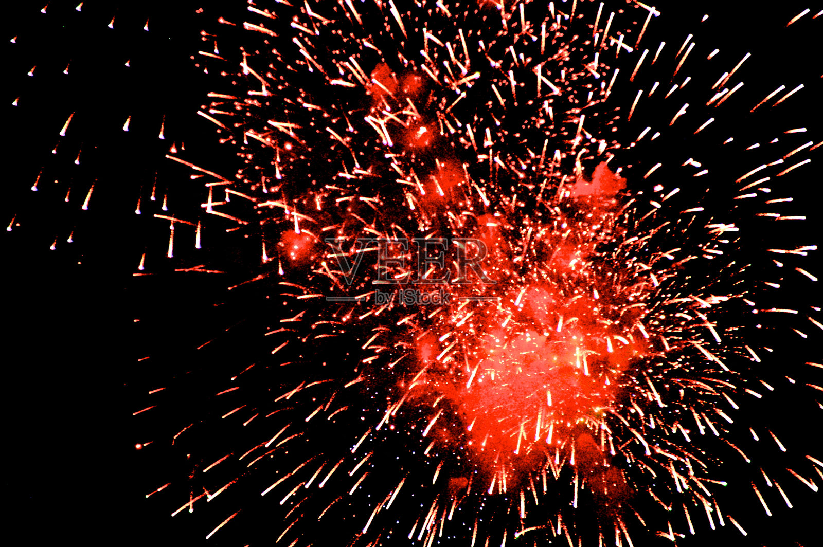 川越花园2012照片摄影图片