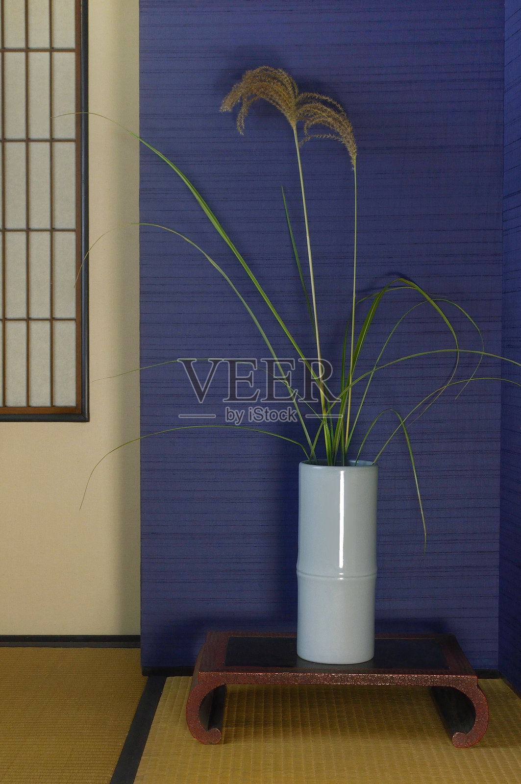 花瓶中的Susuki /工作室拍摄照片摄影图片