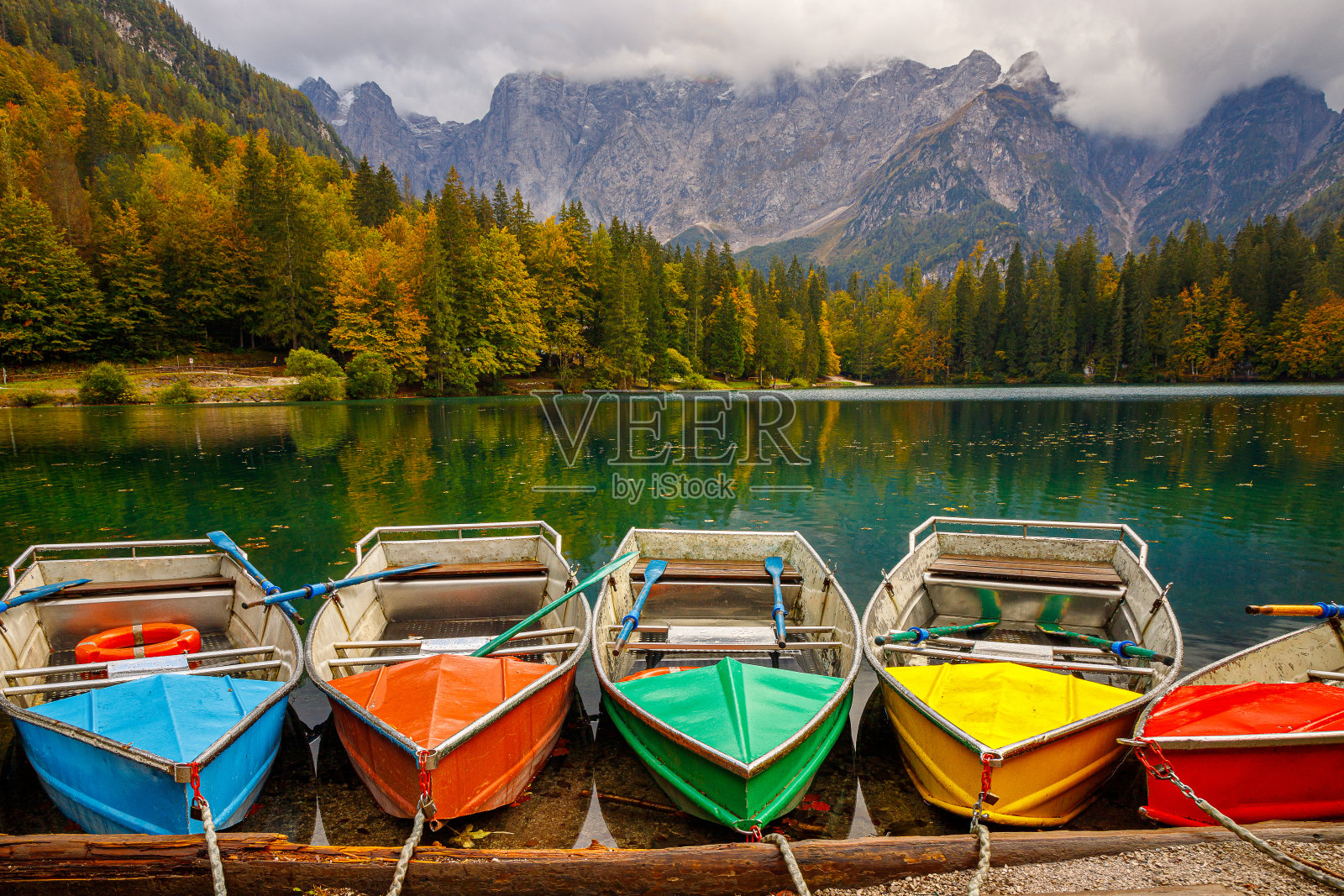 令人惊叹的清澈的山湖，在阳光下的冷杉林中。明亮的景色，美丽的绿松石湖，背景是雪山照片摄影图片