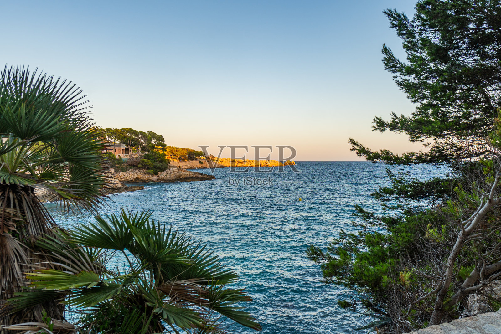 美丽的海岸，地中海碧绿的海水和西班牙马略卡岛上卡拉拉贾达令人惊叹的悬崖照片摄影图片