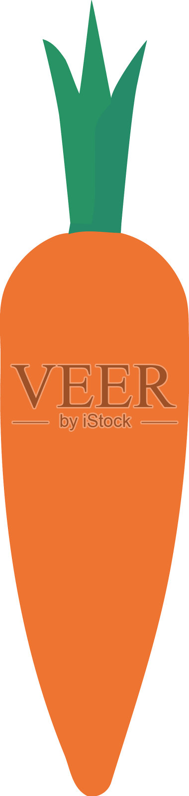 新鲜有机胡萝卜设计插画图片素材