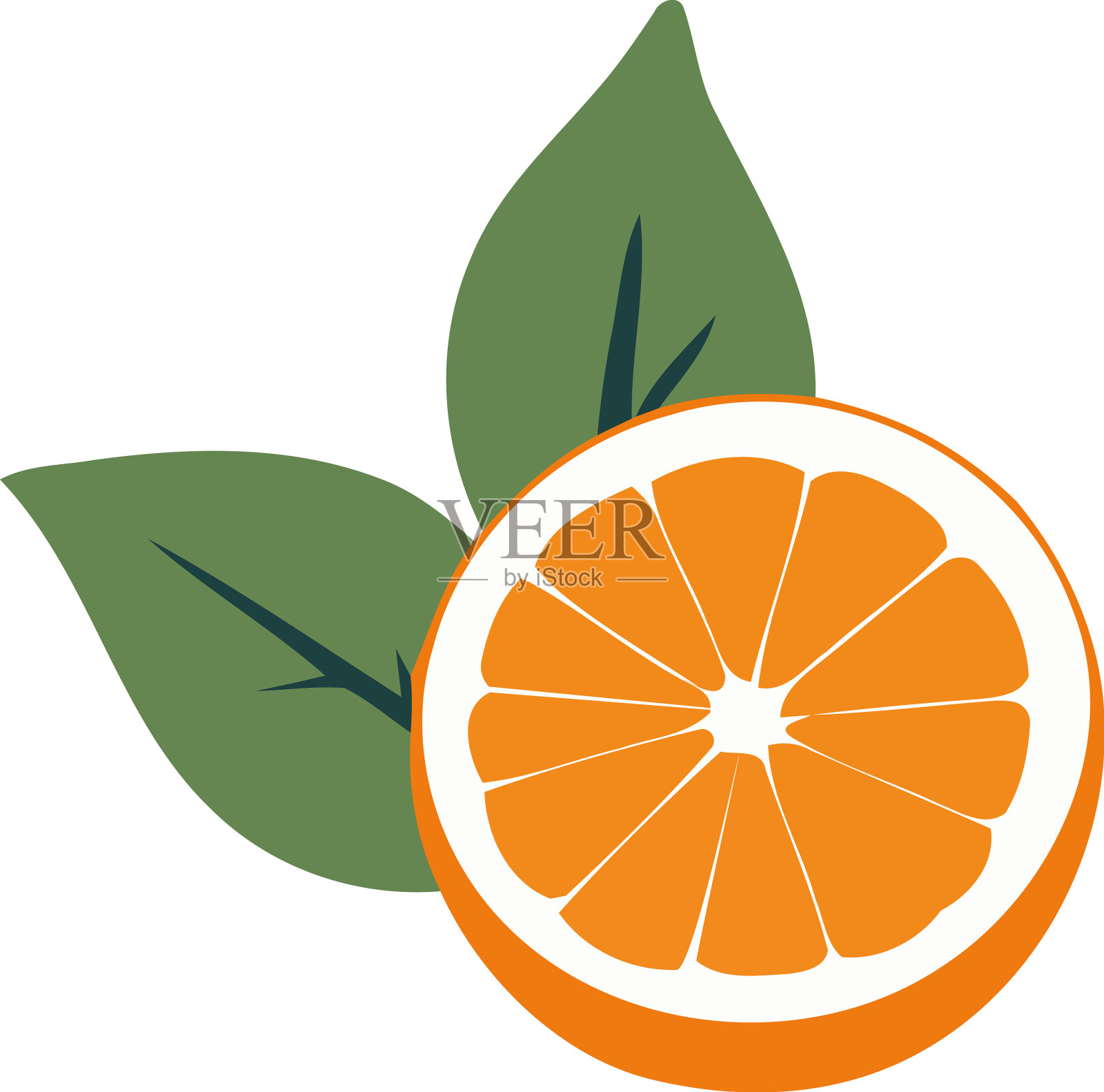 多汁橙片插画图片素材