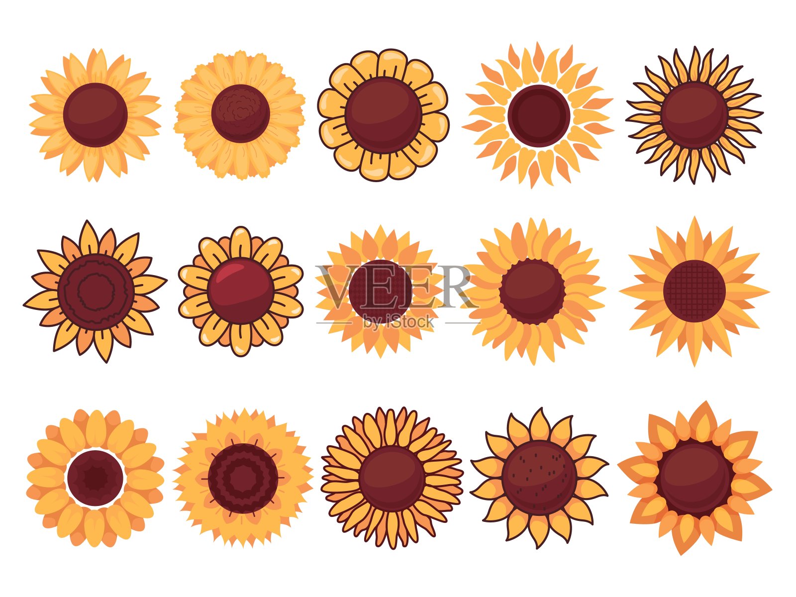 卡通向日葵。不同的植物形状。黄色的花朵。夏日美丽的花香元素。原始花瓣和农业种子。花蕾开花。圆阳光盛开。最近向量集插画图片素材