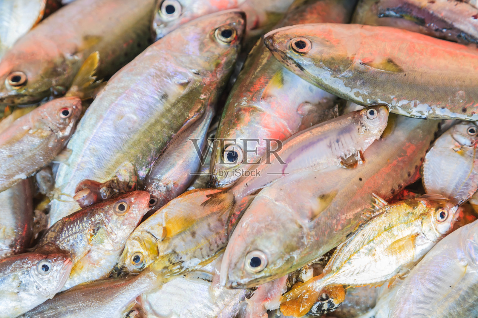 泰国曼谷新鲜市场上的新鲜鲭鱼照片摄影图片