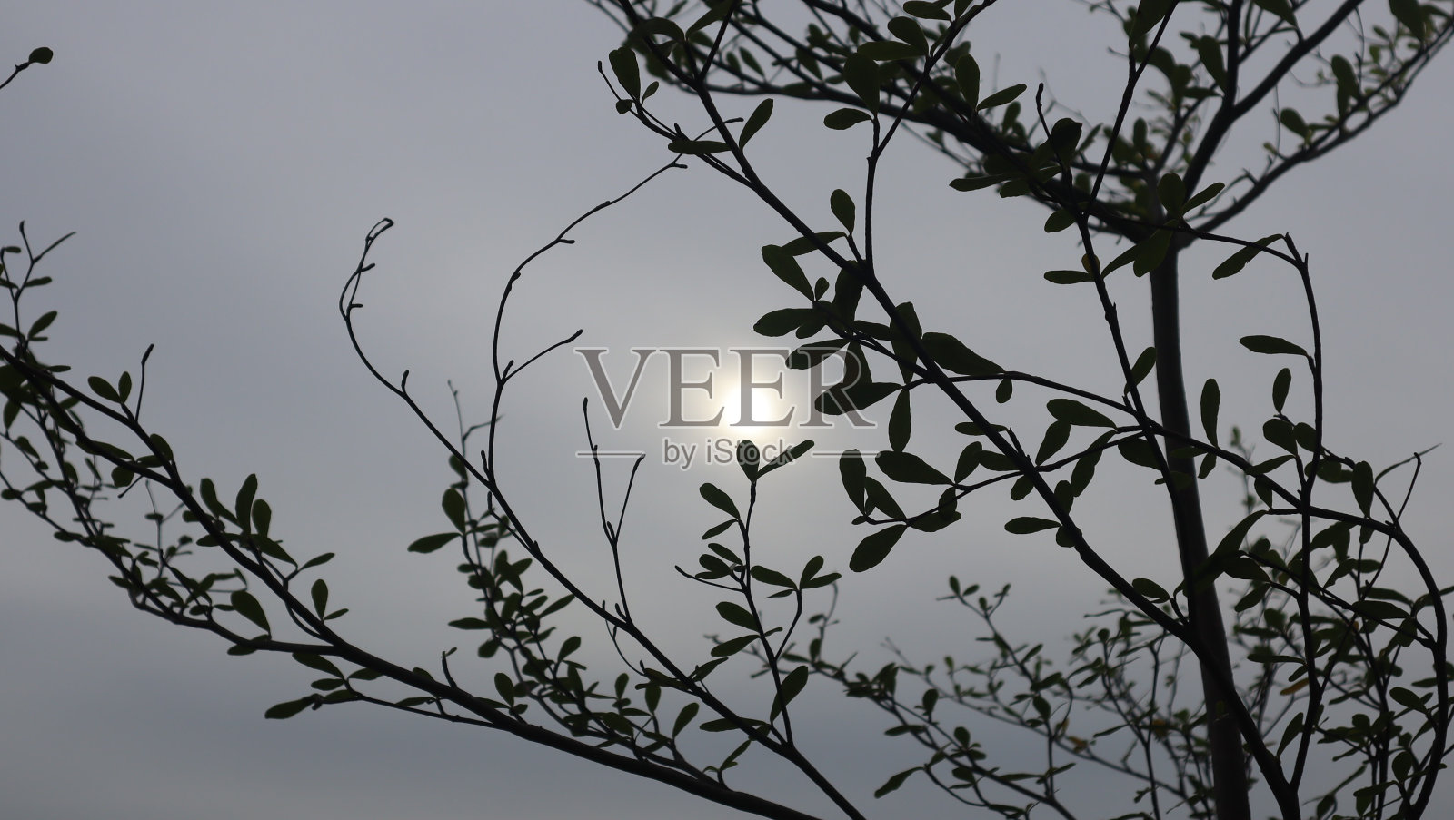 傍晚的天空照片摄影图片