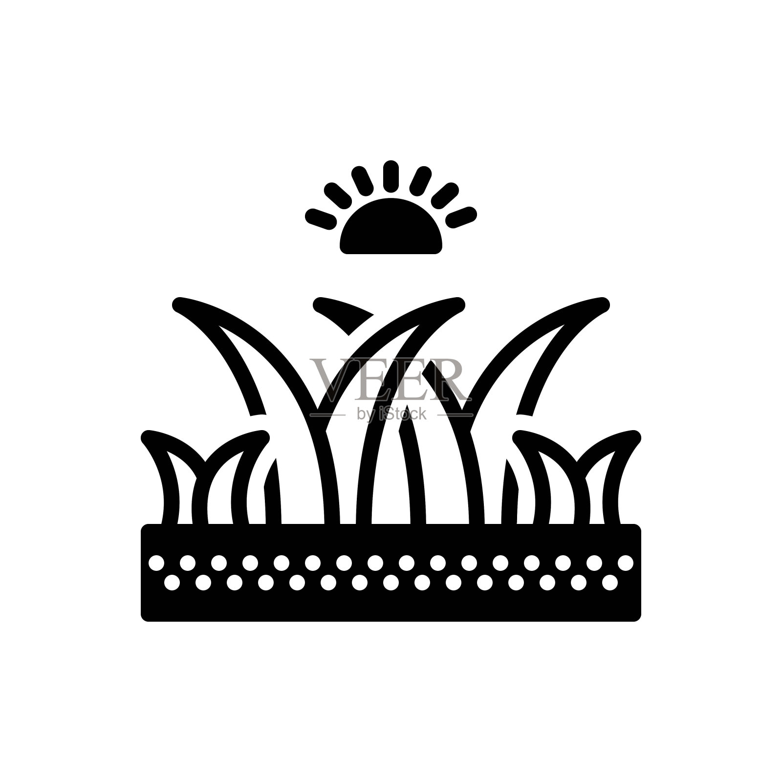 肝草插画图片素材