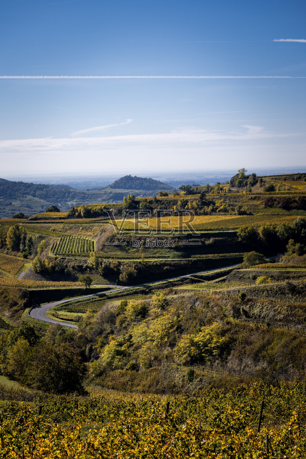 葡萄园照片摄影图片