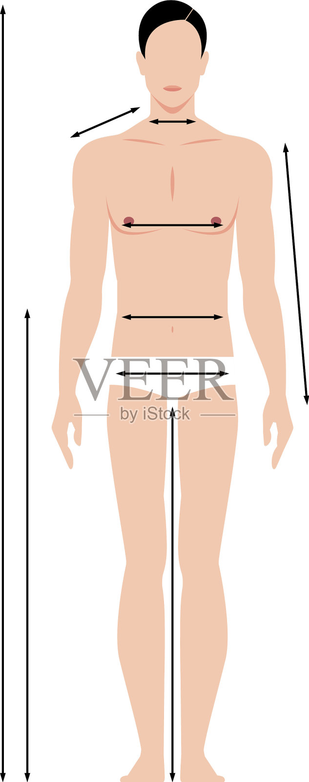 完整的男性身体尺寸图插画图片素材