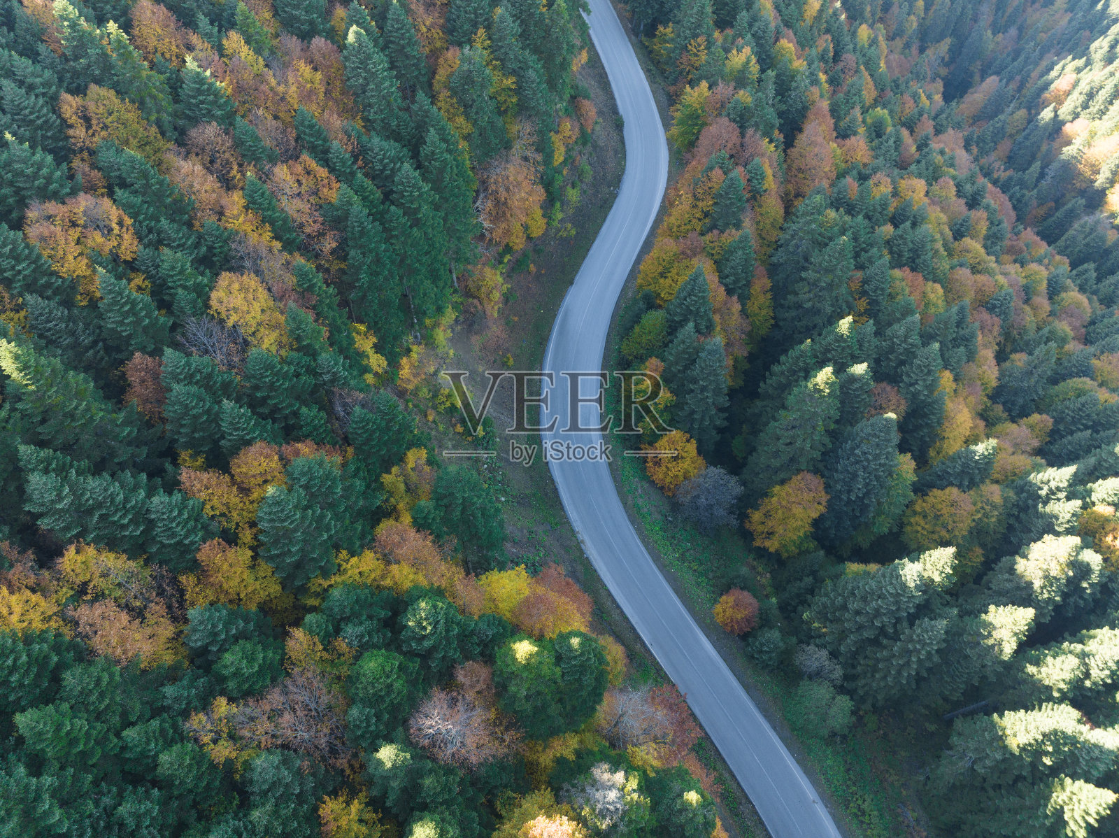 叶迪格勒国家公园五彩缤纷的秋叶无人机照片，土耳其博卢(土耳其)照片摄影图片