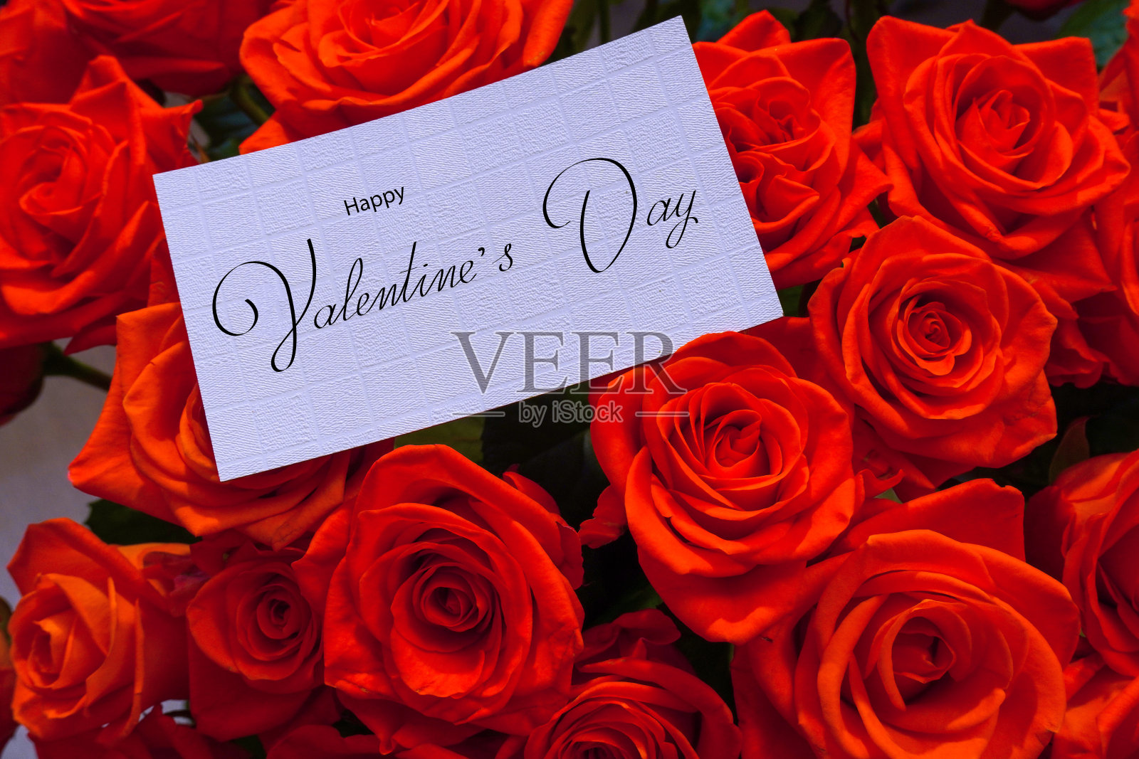 情人节快乐!卡片，在线横幅，贺卡，在情人节，花束与名片照片摄影图片