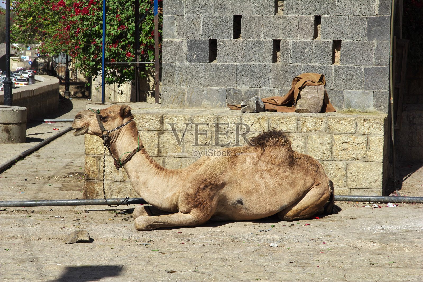 也门萨那的复古房屋照片摄影图片