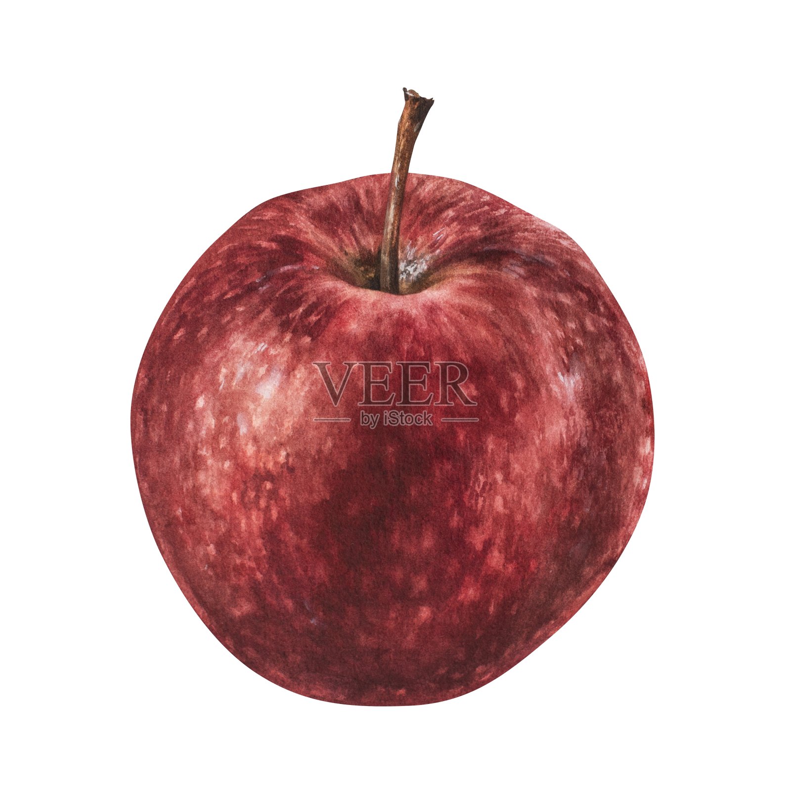 红色的水果。健康食品的水彩植物插图。手绘剪贴艺术隔离在白色背景的果汁和苹果酒包装。甜零食的贴纸和印刷图纸插画图片素材