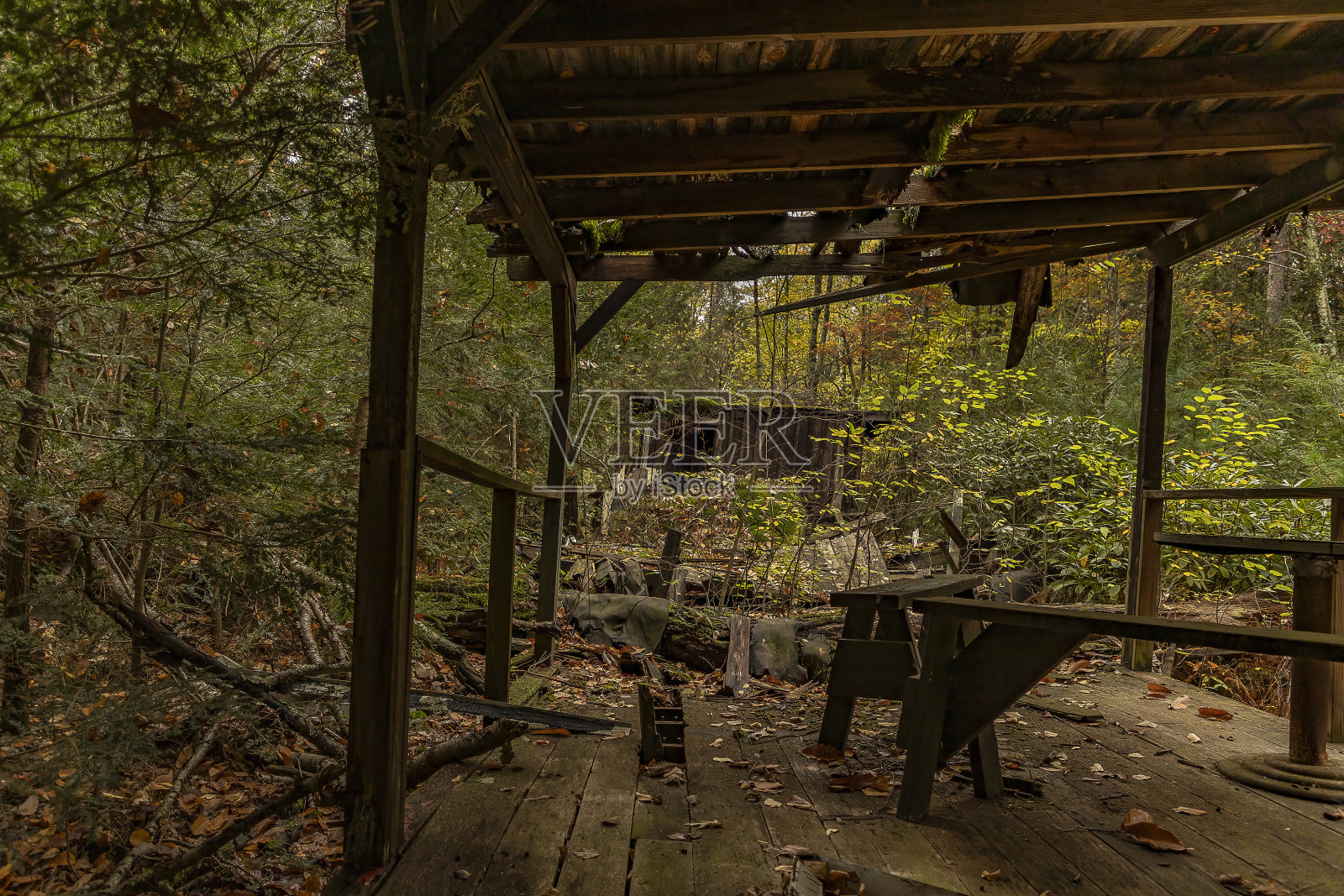 秋天，新泽西州肯-埃蒂瓦-佩克营地废弃的小屋照片摄影图片