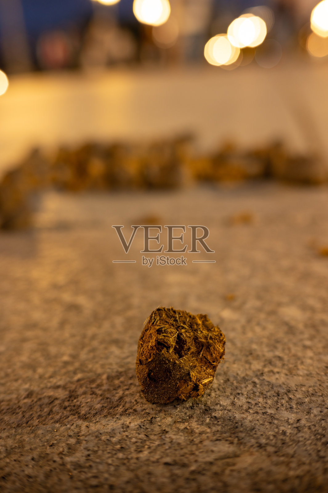 2023年10月19日;马德里,西班牙;地面上一块大石头的特写。岩石上覆盖着苔藓和其他植物。一块马粪也可以在岩石上看到。照片摄影图片