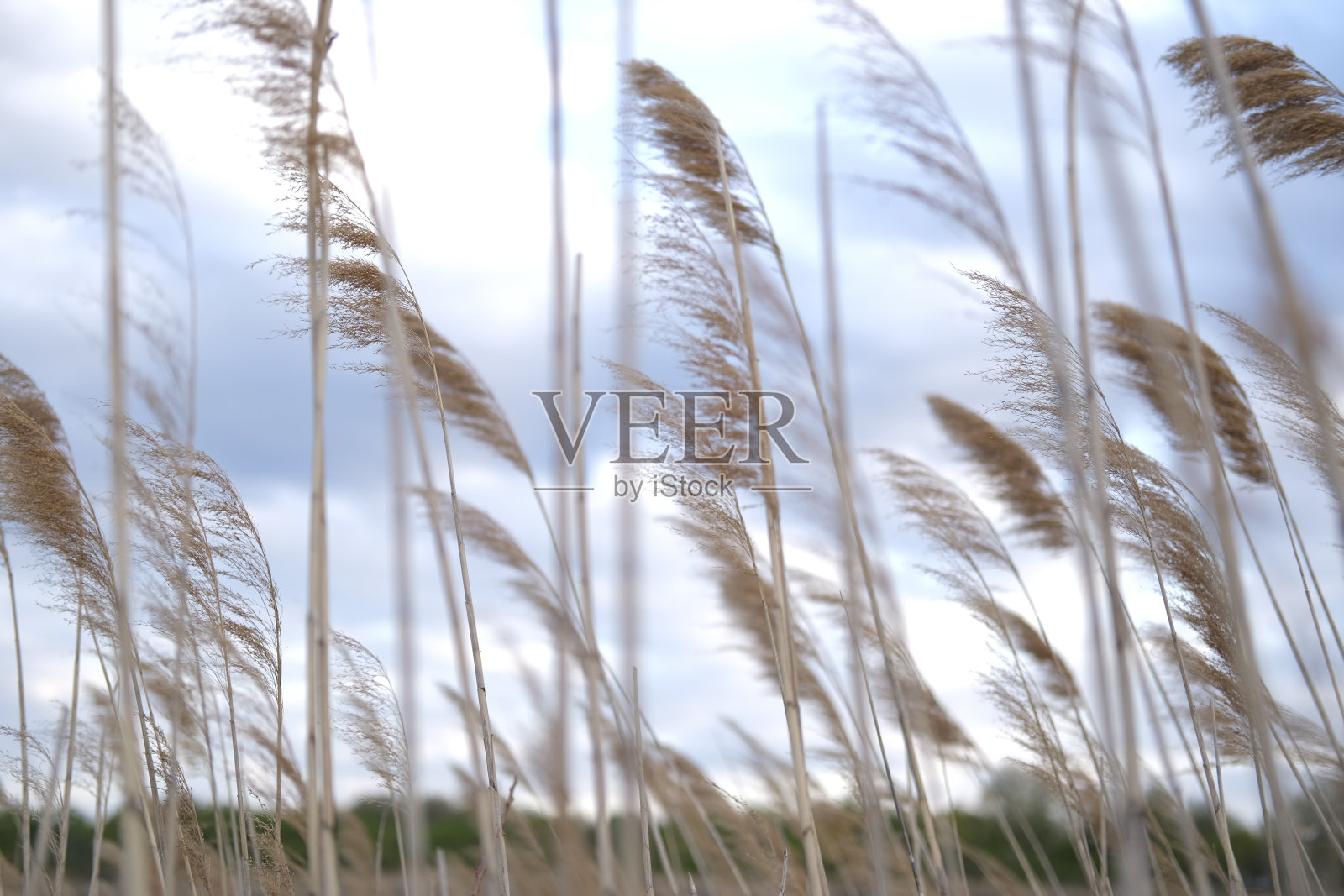 户外照片摄影图片