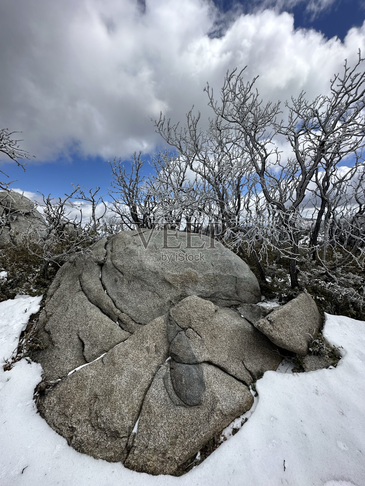冬天的场景照片摄影图片