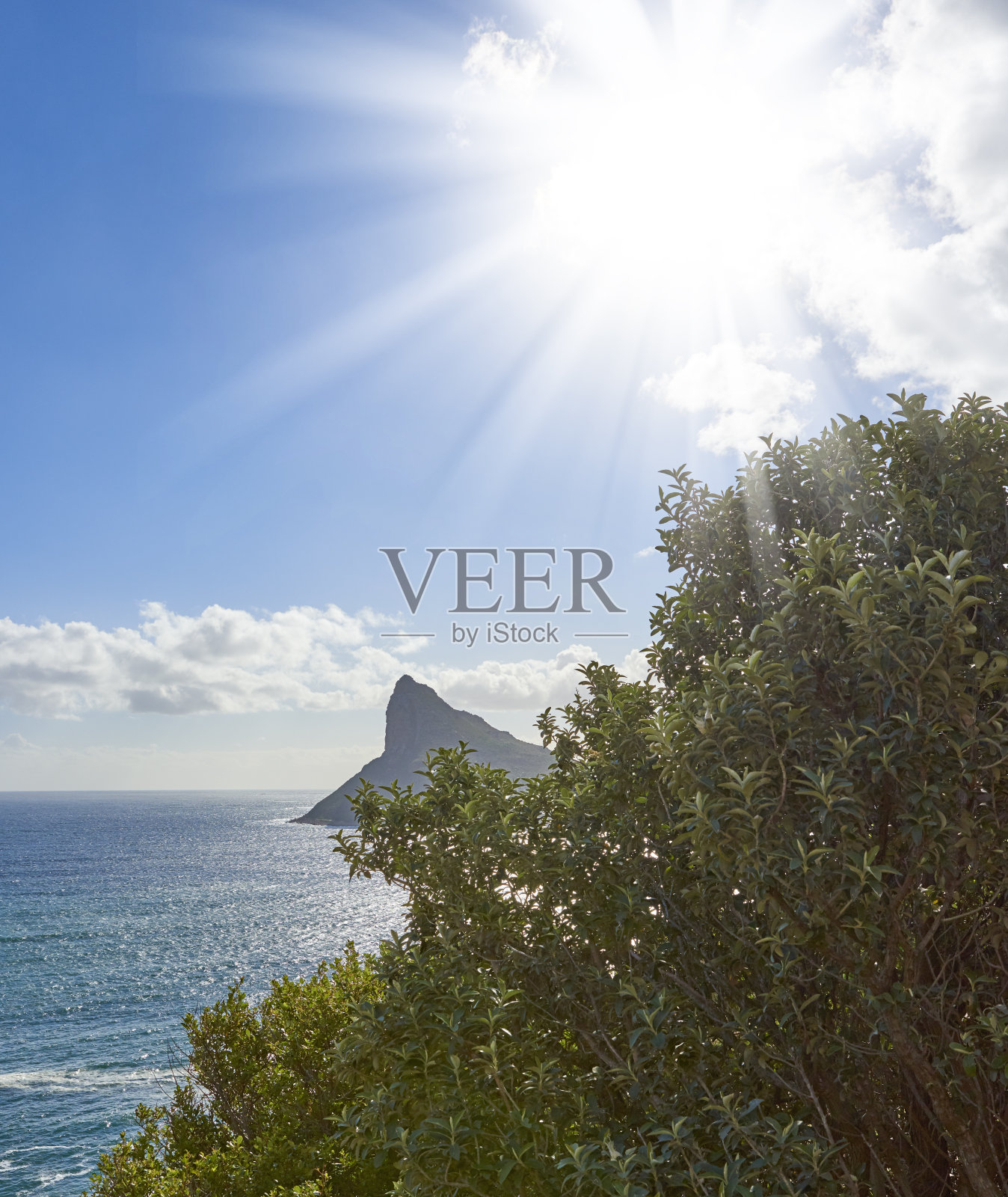 开普敦周围的树木和森林照片摄影图片