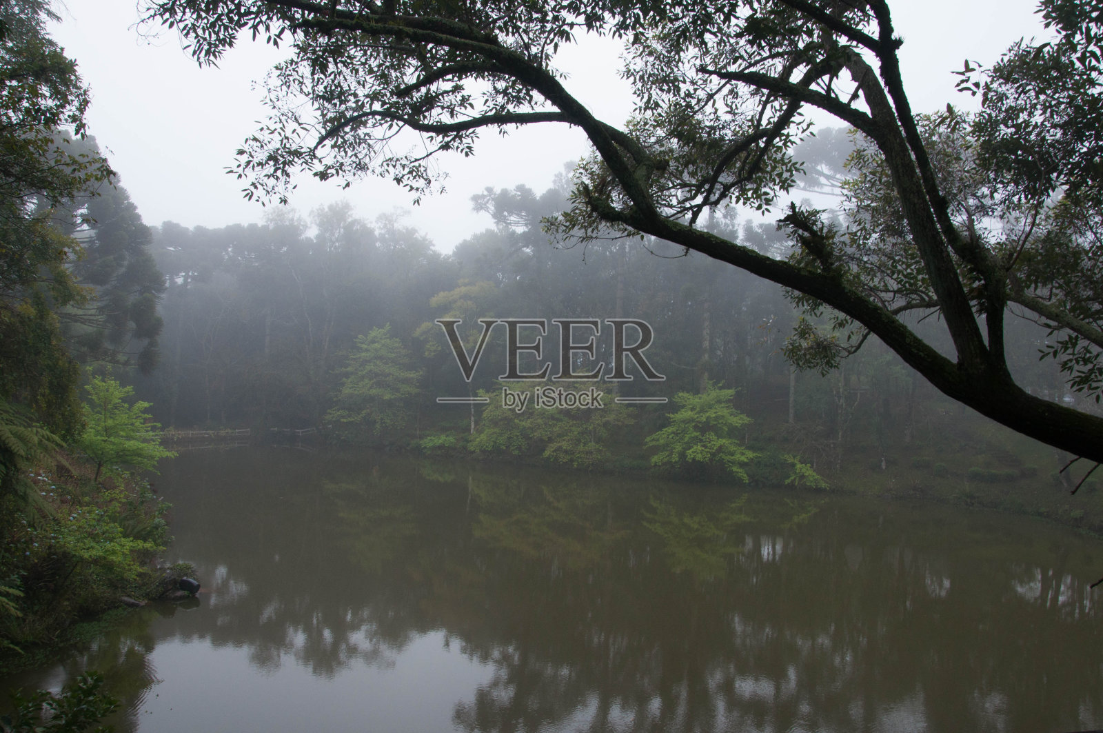 美丽的雾景照片摄影图片