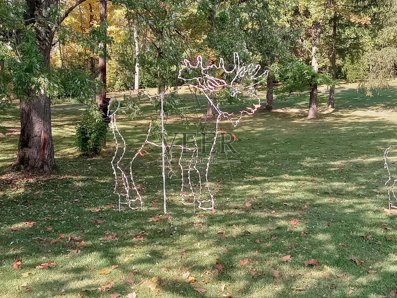 圣诞装饰品照片摄影图片
