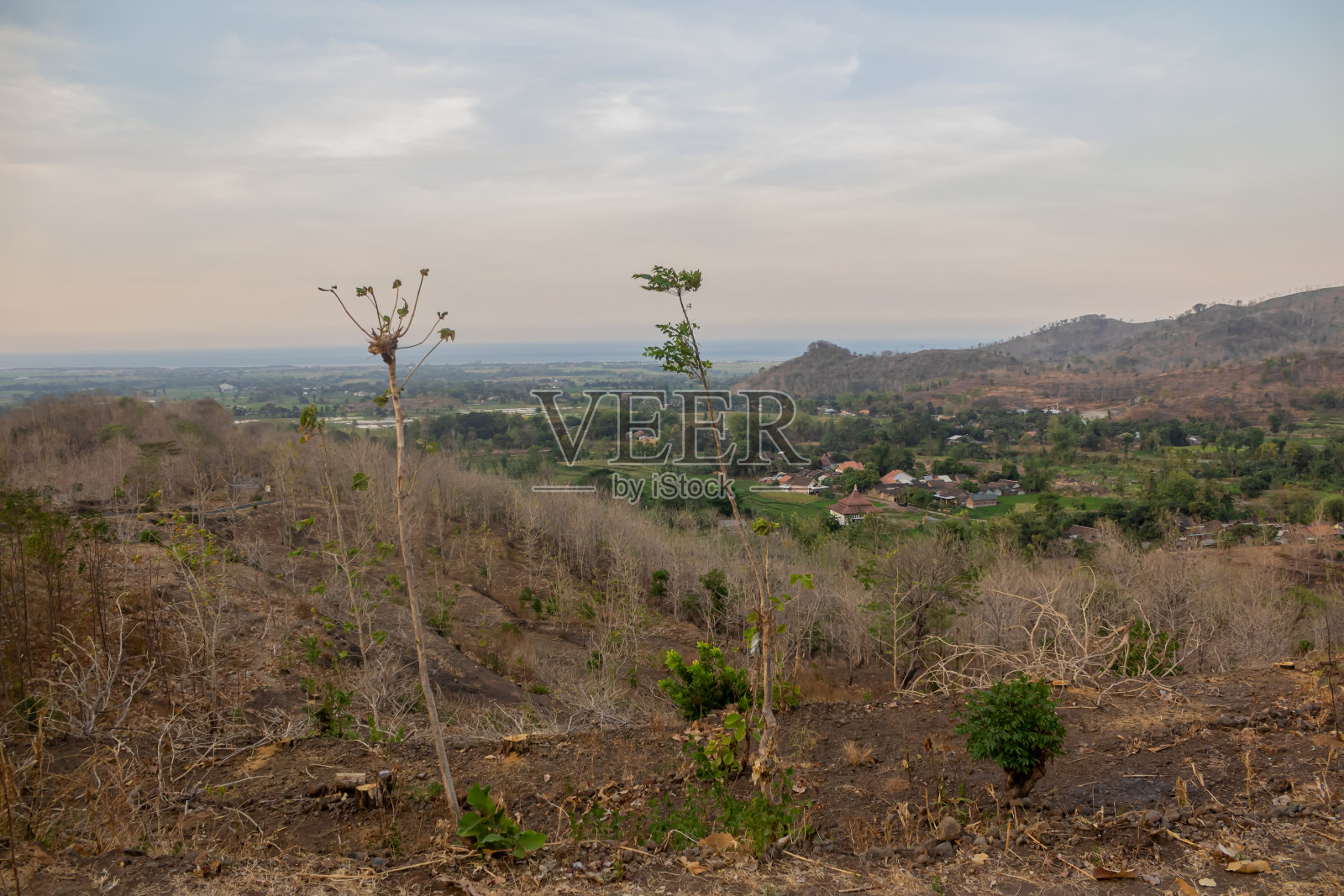 山坡很高照片摄影图片