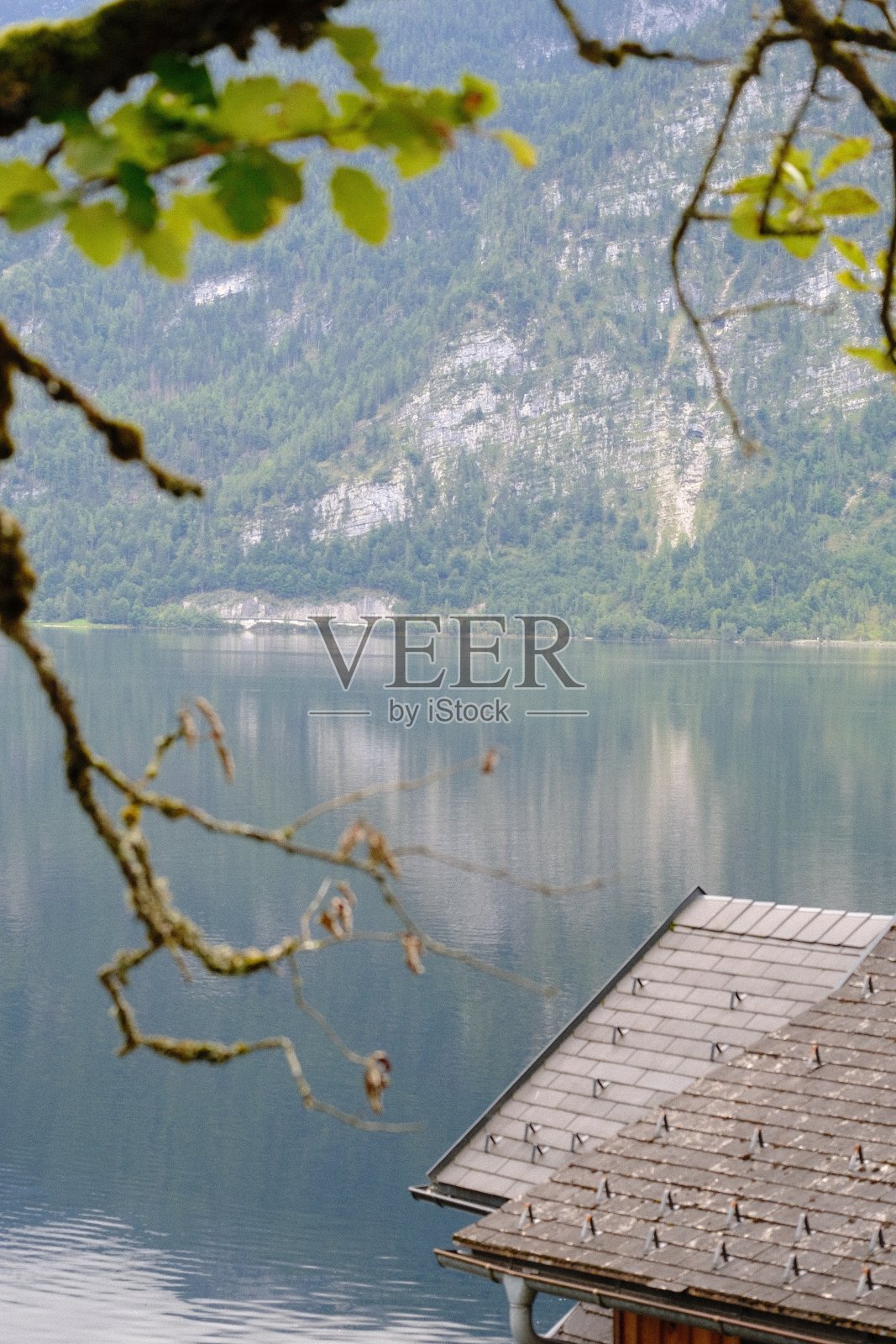 萨尔茨卡默古特地区夏季美丽的阳光下，奥地利阿尔卑斯山著名的哈尔施塔特山村风景如画照片摄影图片