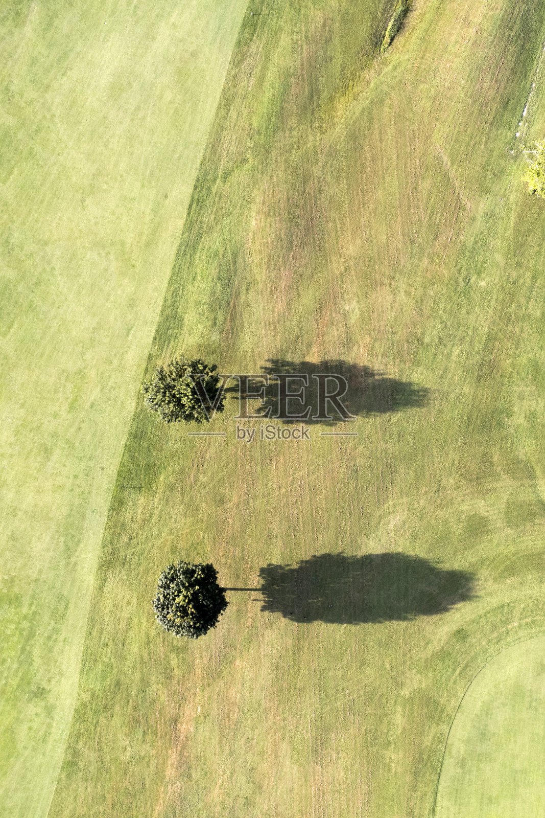 鸟瞰树木的阴影照片摄影图片