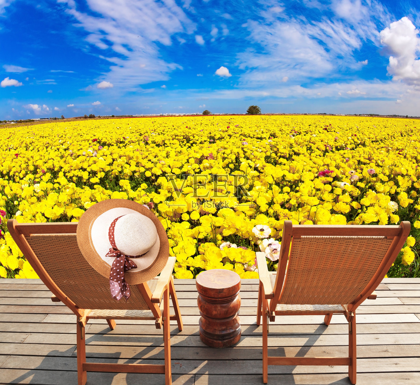 舒适的日光躺椅照片摄影图片