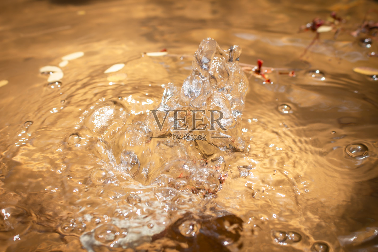 水花的特写。冰冻的水落下。照片摄影图片