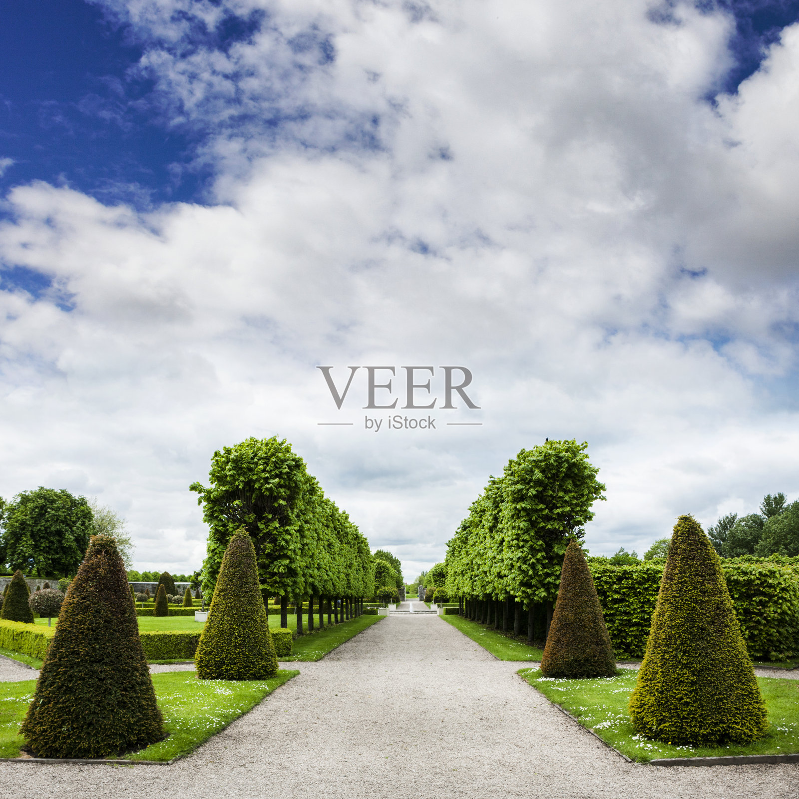 爱尔兰都柏林的城市公园照片摄影图片