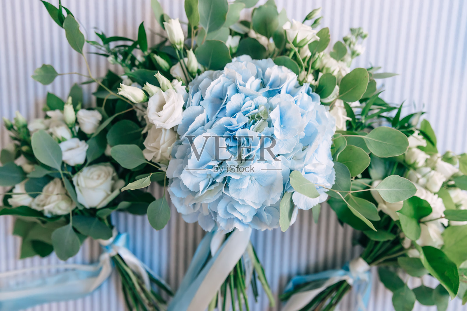 新娘花束与白玫瑰和蓝色绣球花。婚礼上用的精致的花束。照片摄影图片